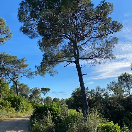 Maison Cosy Casa vacanze Cannes-et-Clairan