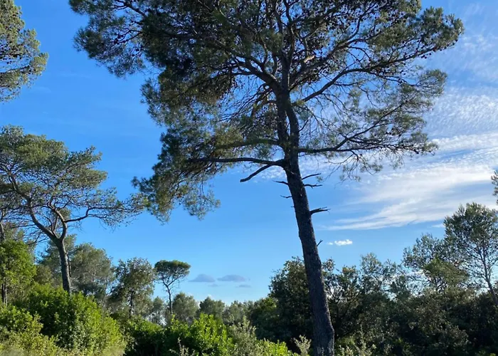Dépendance studio cosy Hébergement de vacances Cannes-et-Clairan